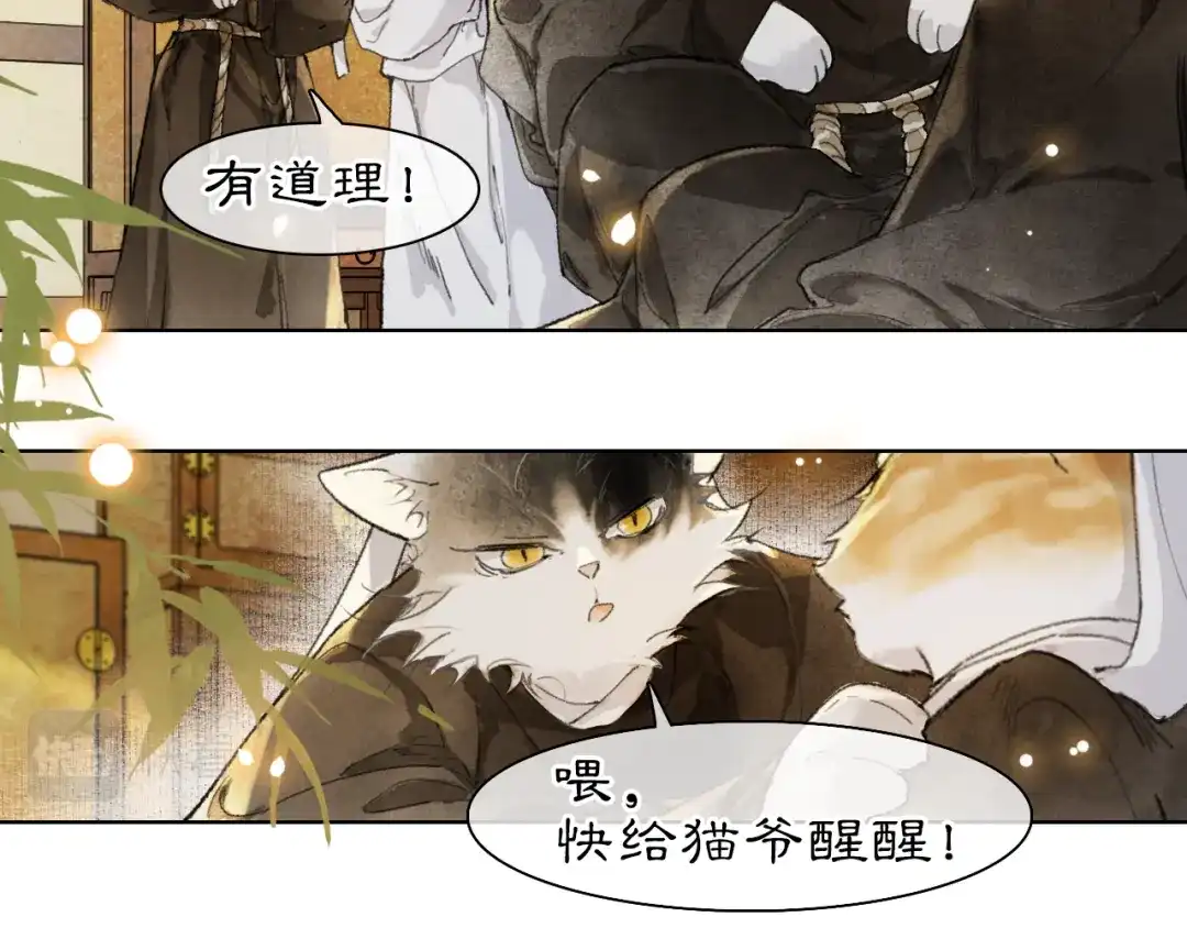 《紫禁·御喵房》第36话 被选中的喵 第21页