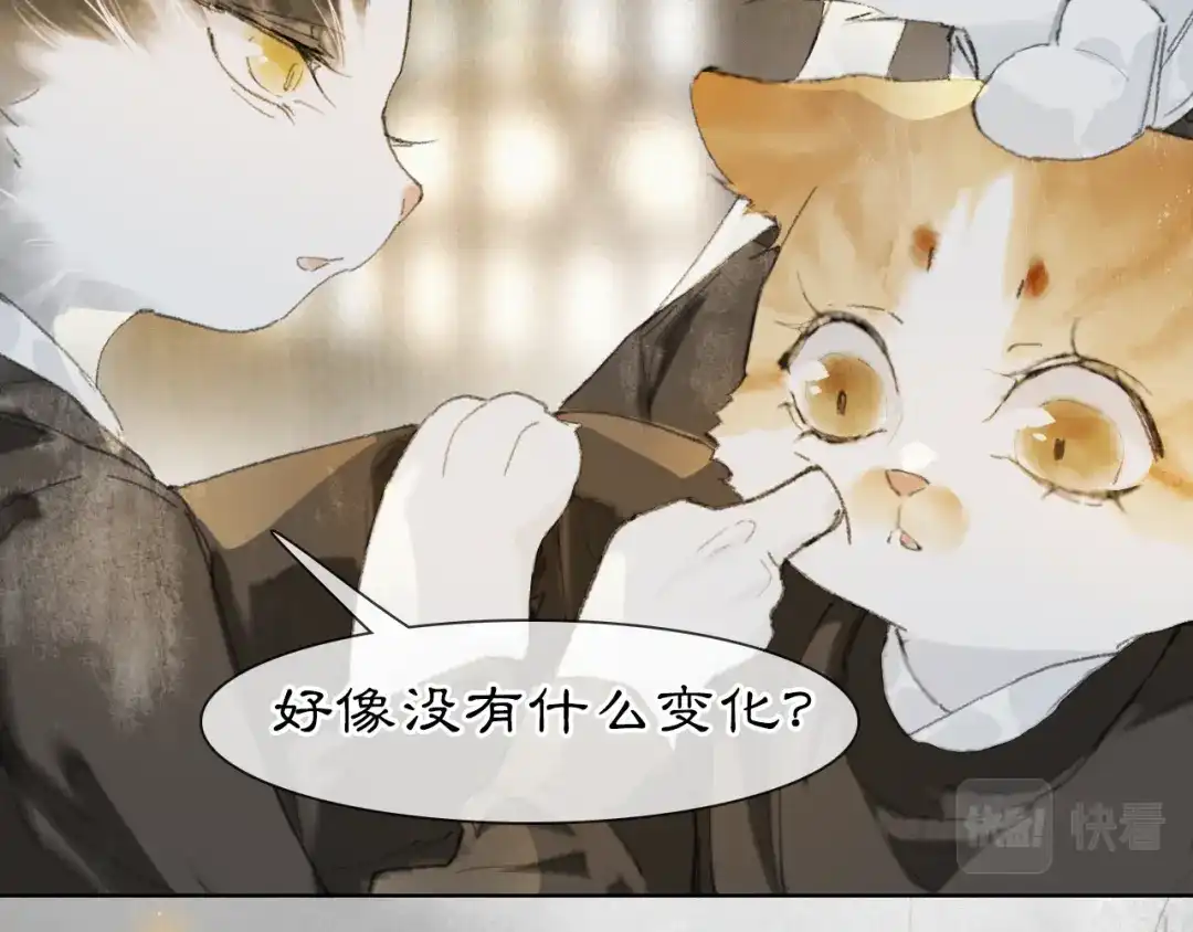 《紫禁·御喵房》第36话 被选中的喵 第30页