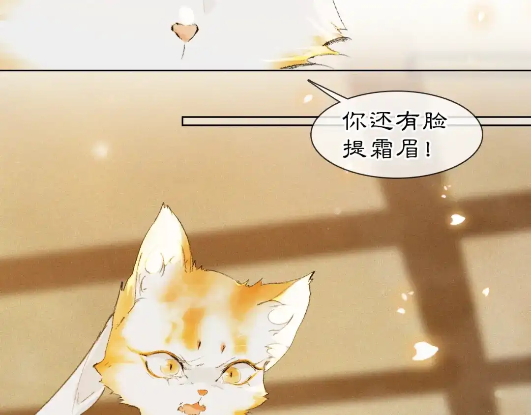 《紫禁·御喵房》第37话 腹黑喵的真相 第40页