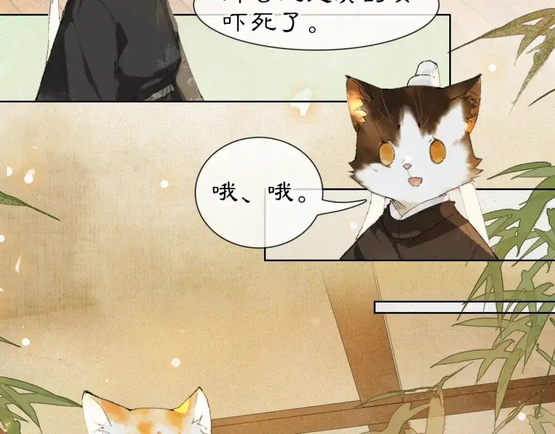 《紫禁·御喵房》第37话 腹黑喵的真相 第37页