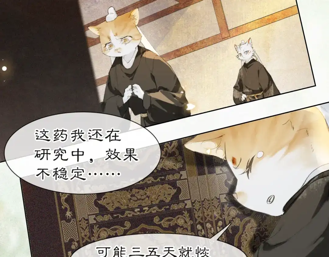 《紫禁·御喵房》第37话 腹黑喵的真相 第2页