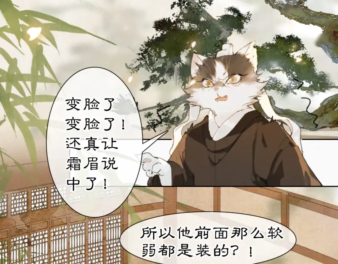 《紫禁·御喵房》第37话 腹黑喵的真相 第35页