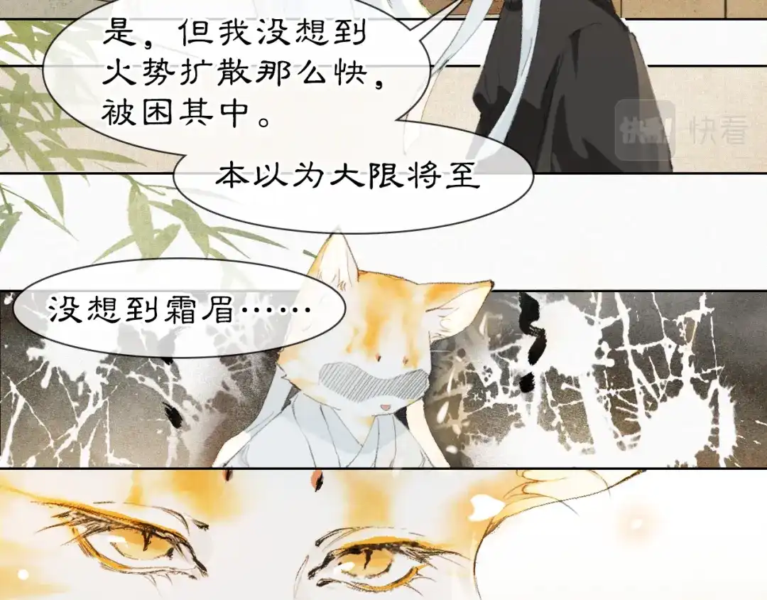 《紫禁·御喵房》第37话 腹黑喵的真相 第39页
