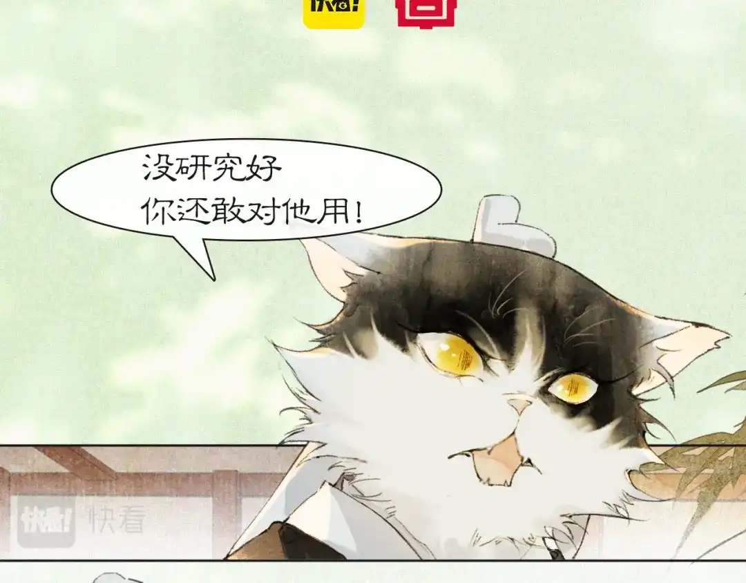 《紫禁·御喵房》第37话 腹黑喵的真相 第5页