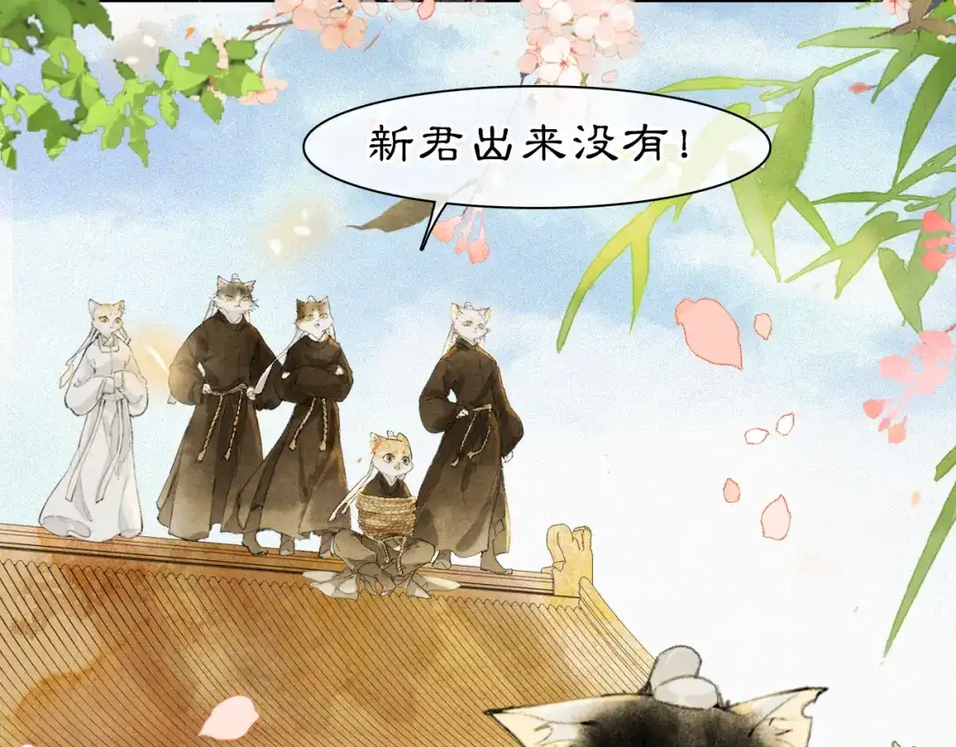 《紫禁·御喵房》第39话 新皇登基 第18页