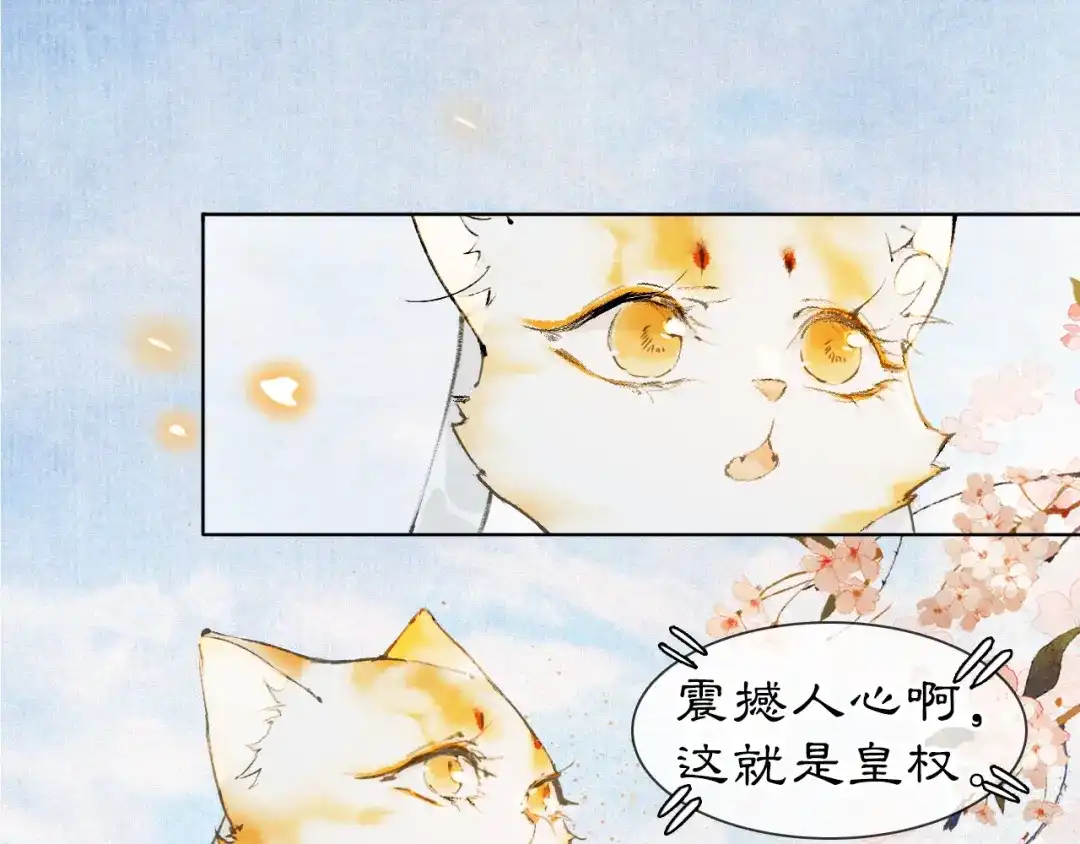 《紫禁·御喵房》第39话 新皇登基 第37页