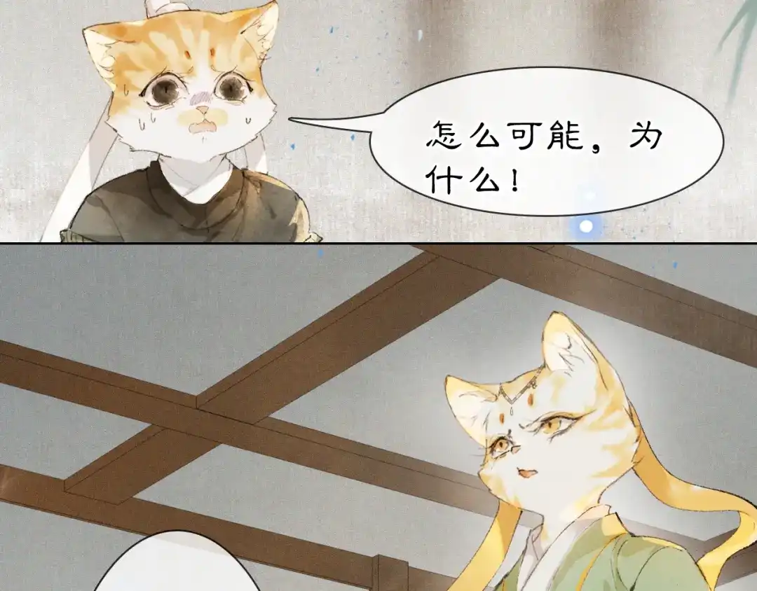 《紫禁·御喵房》第40话 刺客来袭！ 第43页