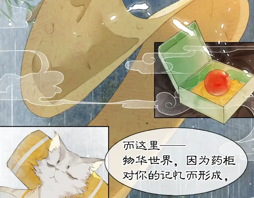 《紫禁·御喵房》第43话 霜眉垂危 第45页