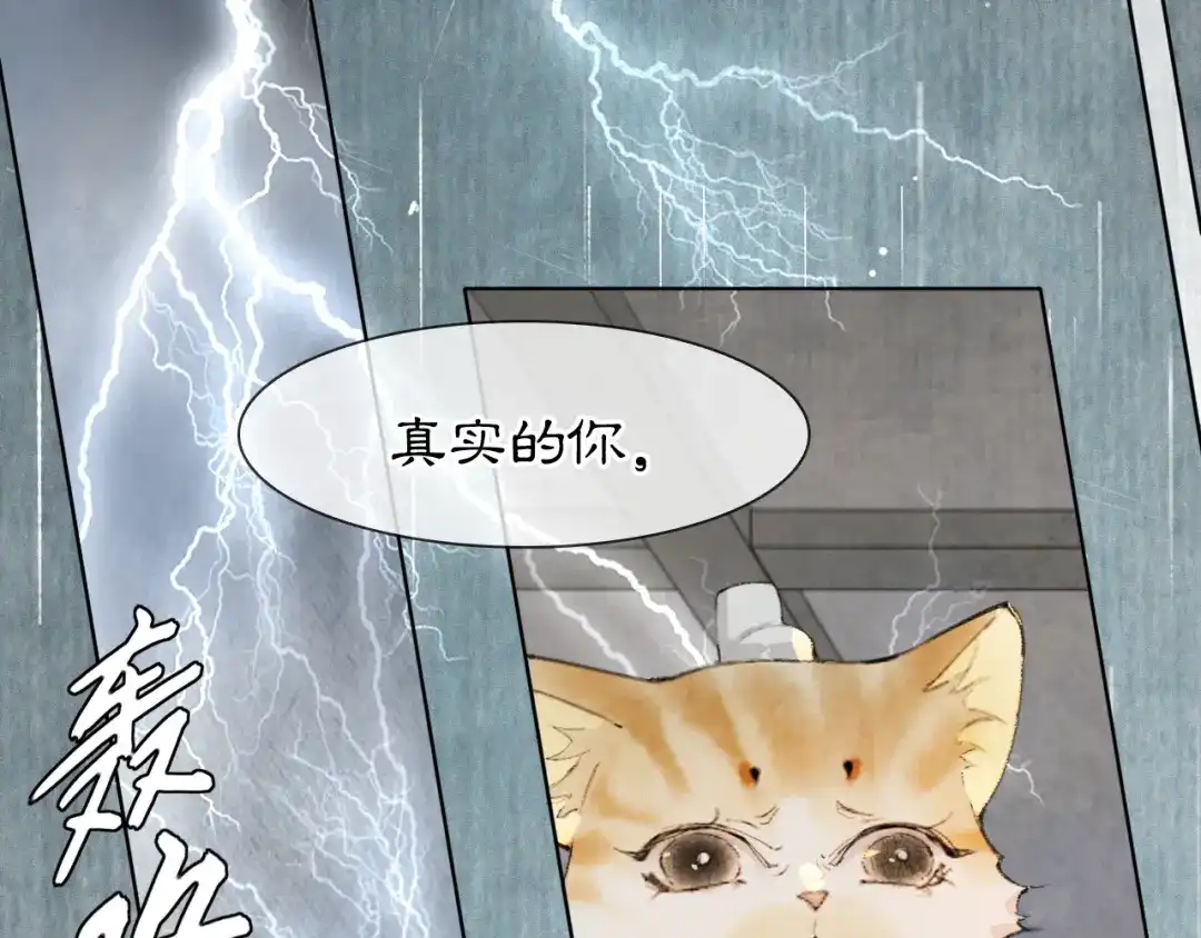 《紫禁·御喵房》第43话 霜眉垂危 第41页