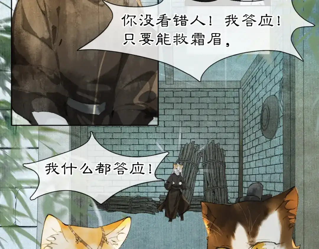 《紫禁·御喵房》第44话 让人担忧的猫咪 第24页