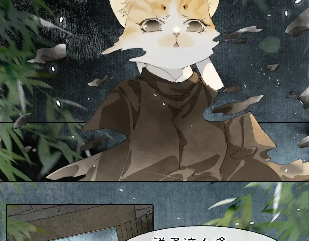 《紫禁·御喵房》第44话 让人担忧的猫咪 第11页