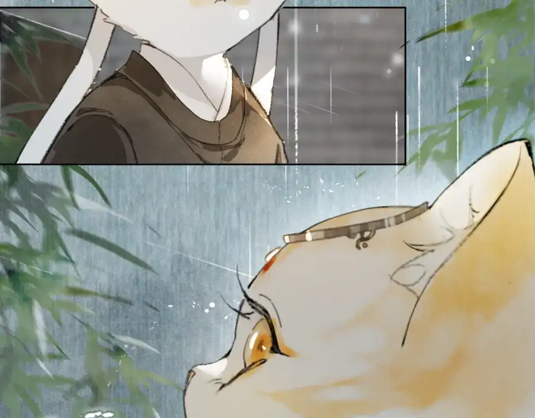 《紫禁·御喵房》第44话 让人担忧的猫咪 第15页