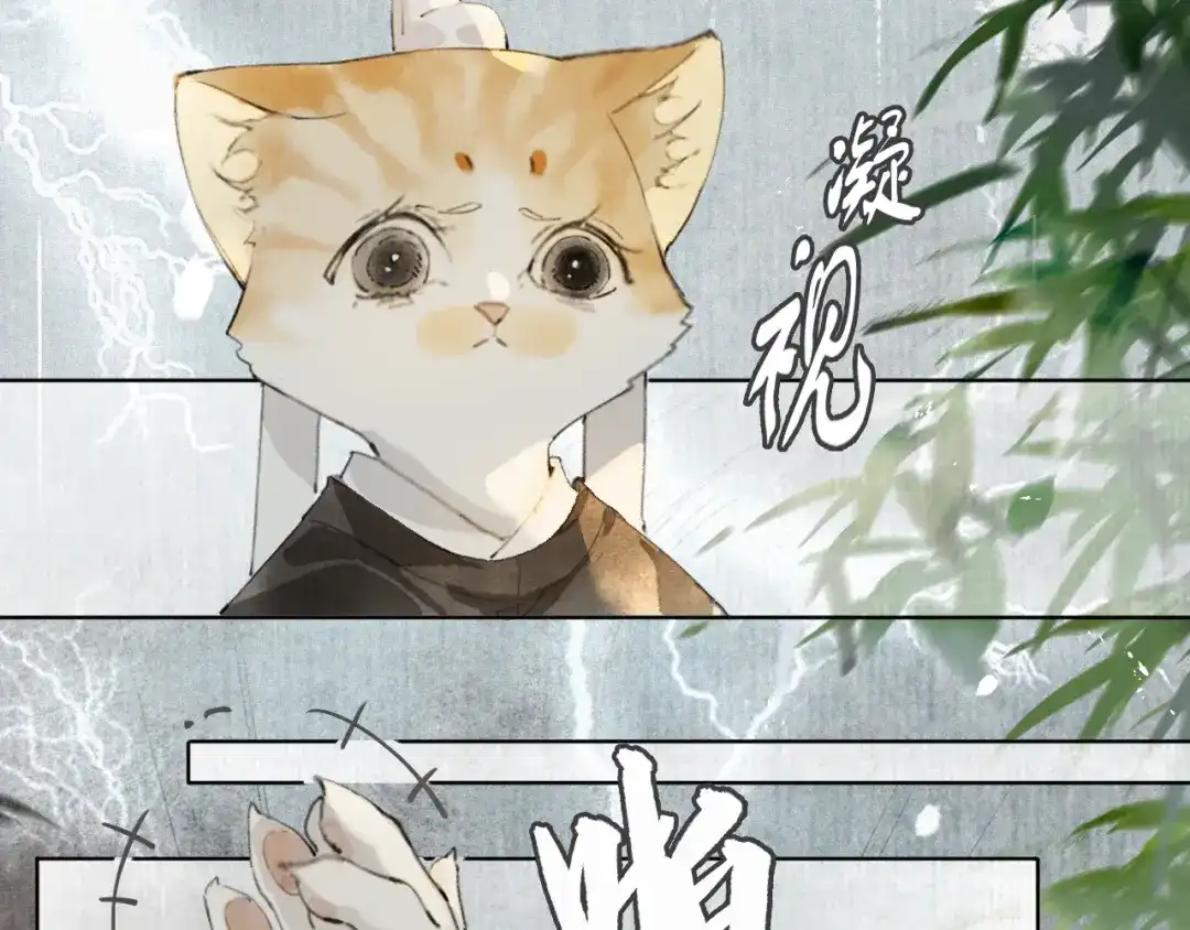《紫禁·御喵房》第44话 让人担忧的猫咪 第7页