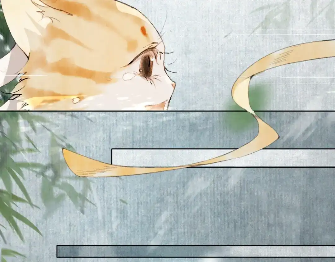 《紫禁·御喵房》第44话 让人担忧的猫咪 第28页
