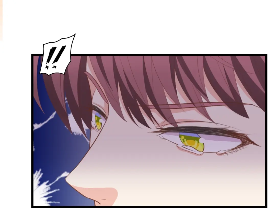 《总裁大人的双面娇妻》第31话 那年的秘密 第17页