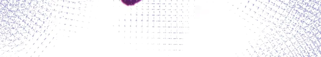 《总裁大人的双面娇妻》第45话 双胞胎初登场！ 第47页