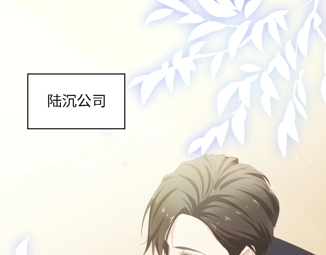 《总裁大人的双面娇妻》第50话 真相大白-她的决心 第95页