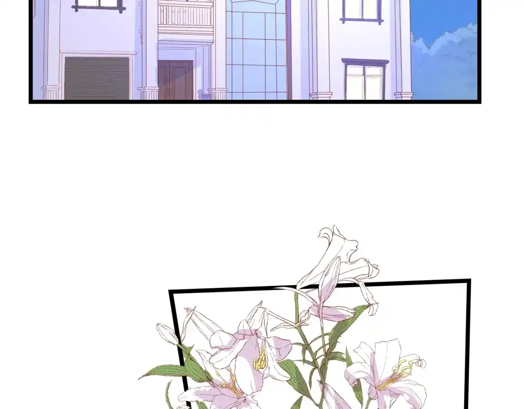 《总裁大人的双面娇妻》完结篇 永远在一起 第66页