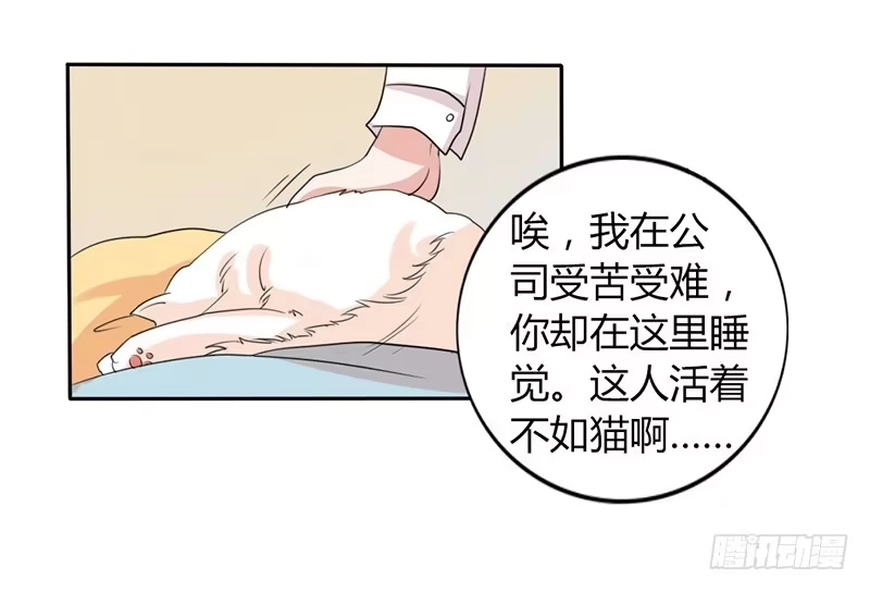 《总裁叫你进门》第九话 第20页