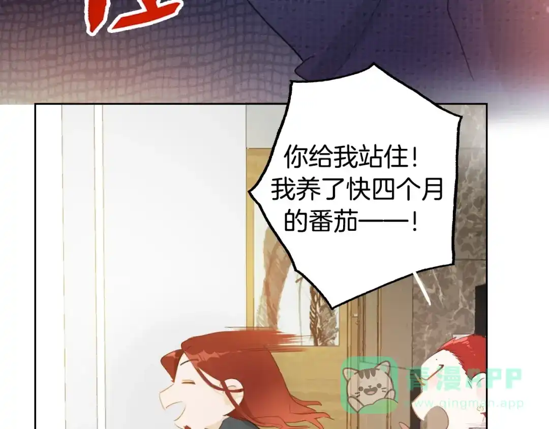 《总厨C位出道》完结篇 美食的力量 第51页