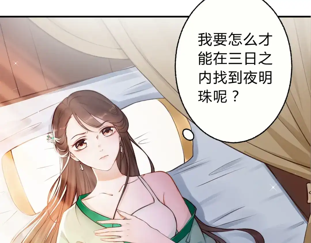 《总有刁民想害朕》第2话 寻找夜明珠 第13页