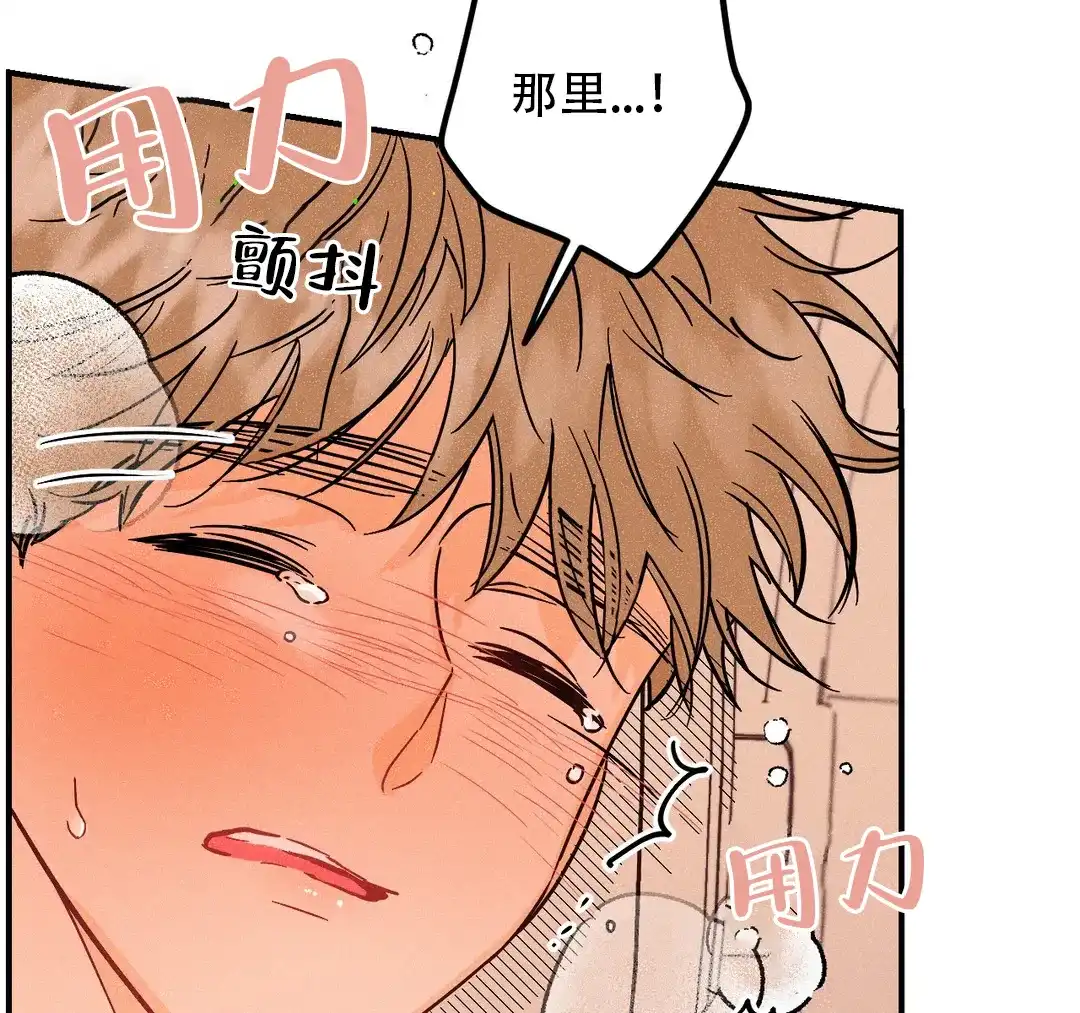 《奏爱》第50话 第30页