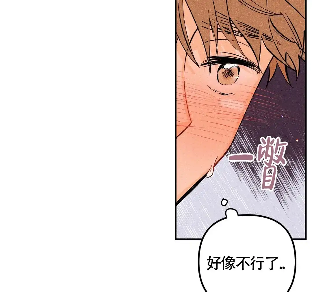 《奏爱》第60话 第15页