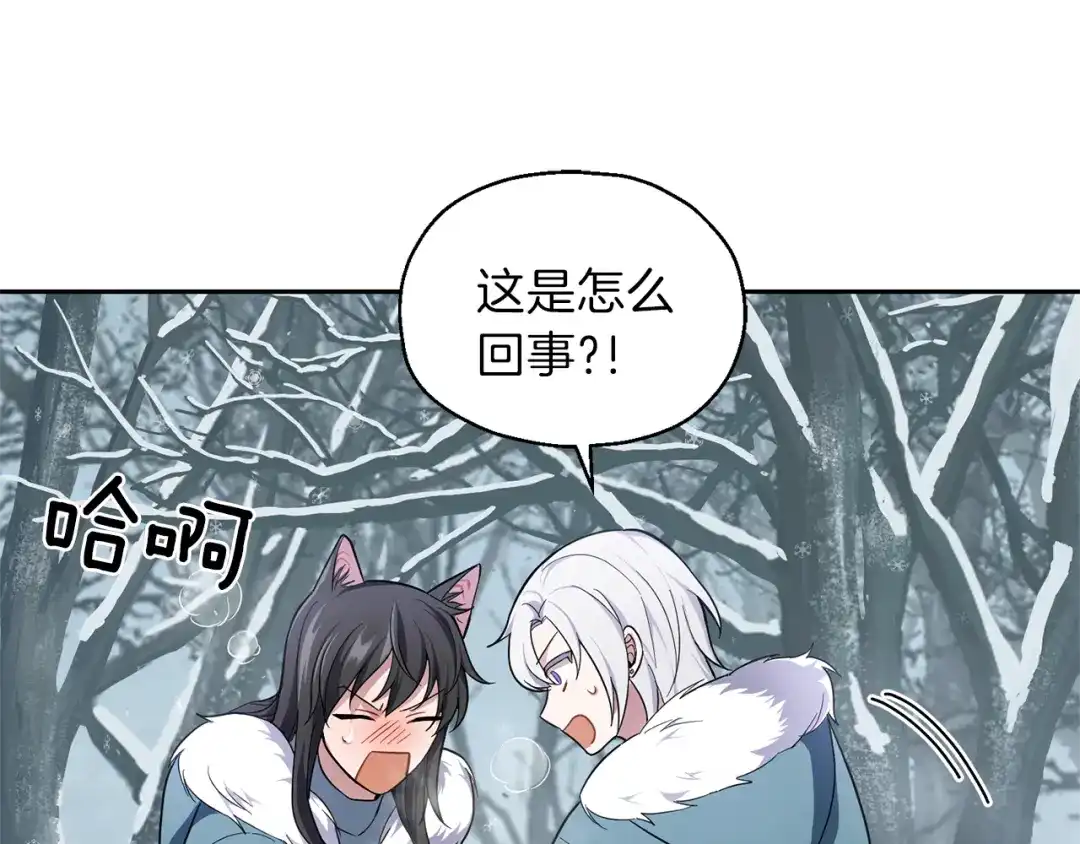 最菜魔王又怎样？ 第33话 银发的秘密 第13页