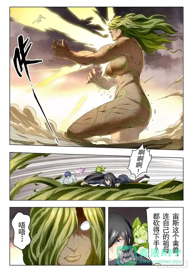 《最后的召唤师》第十九章 决战前夜（2） 第11页