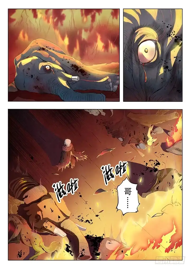 《最后的召唤师》第三章 喵呜！独立日！（1） 第5页