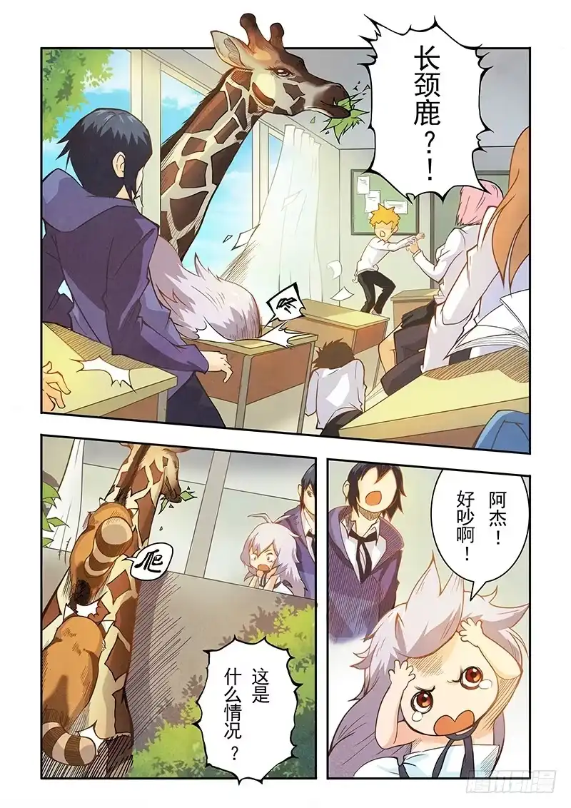 《最后的召唤师》第三章 喵呜！独立日！（1） 第14页