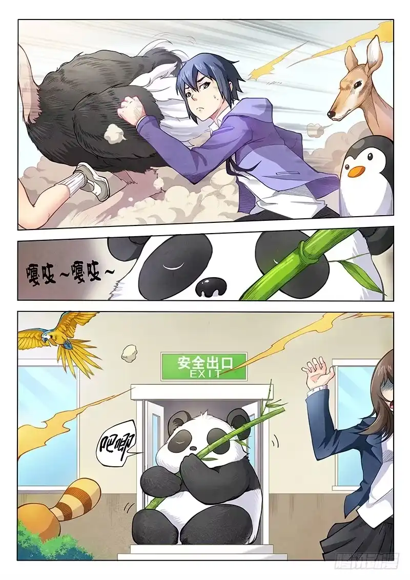 《最后的召唤师》第三章 喵呜！独立日！（1） 第17页