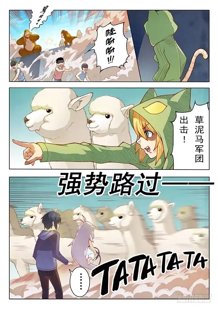 《最后的召唤师》第三章 喵呜！独立日！（2） 第4页