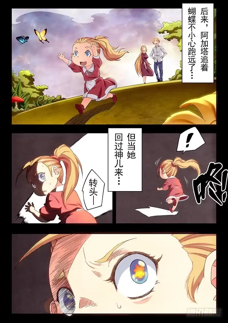 《最后的召唤师》第二十三章 玩火者（2） 第12页
