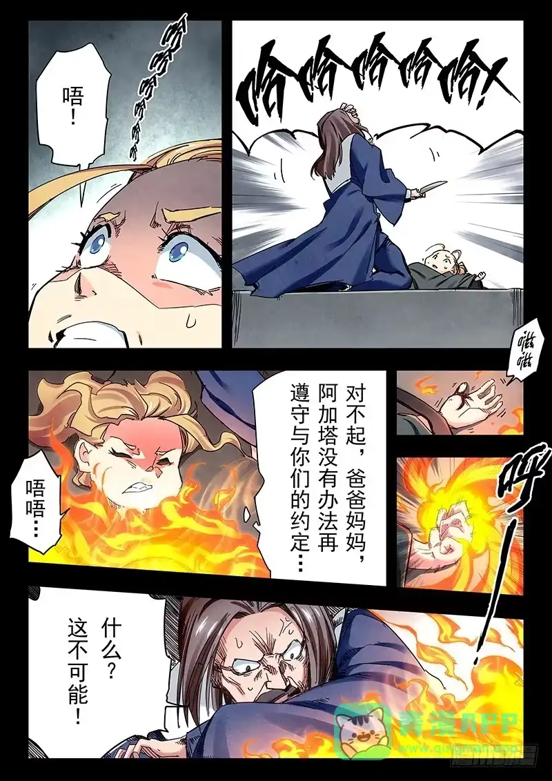 《最后的召唤师》第二十三章 玩火者（6） 第6页