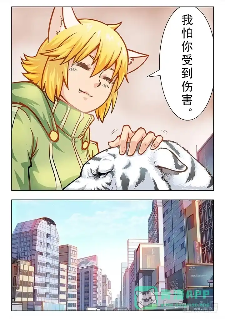 《最后的召唤师》第三章 喵呜！独立日！（3） 第6页