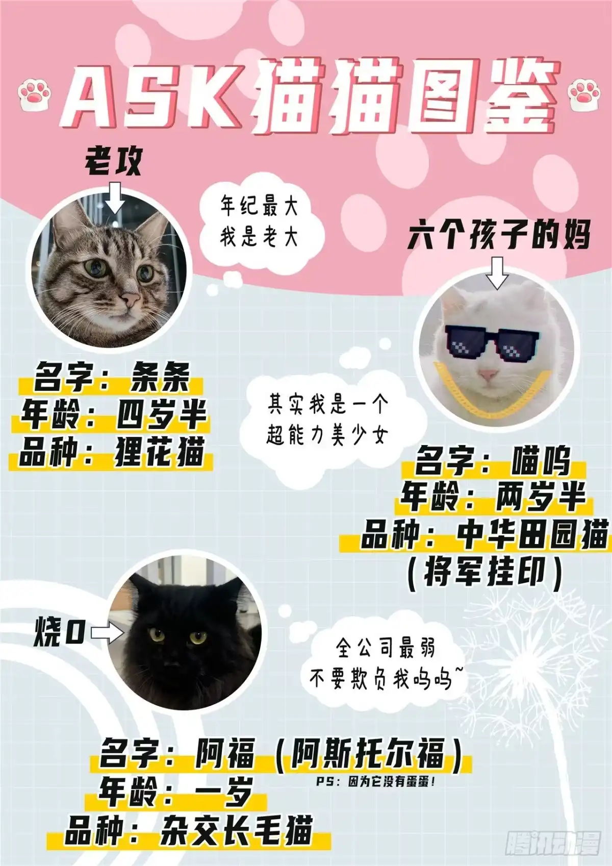 《最后的召唤师》第二季 娜达的游戏 （10） 第15页