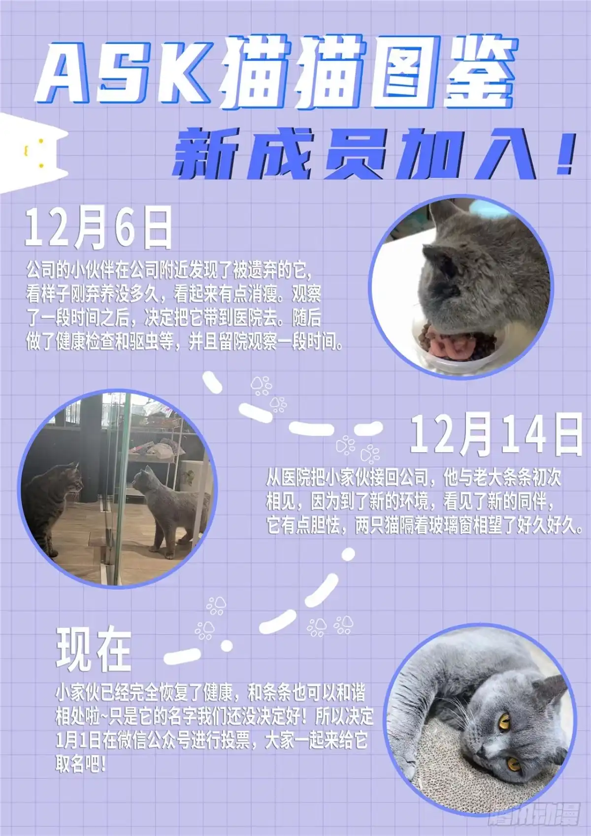 《最后的召唤师》第二季 困兽之斗（04） 第15页