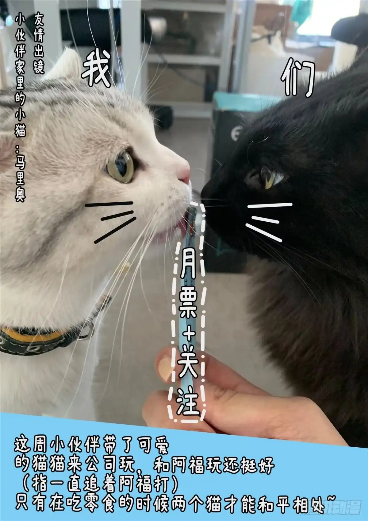 《最后的召唤师》第二季 困兽之斗（06） 第15页