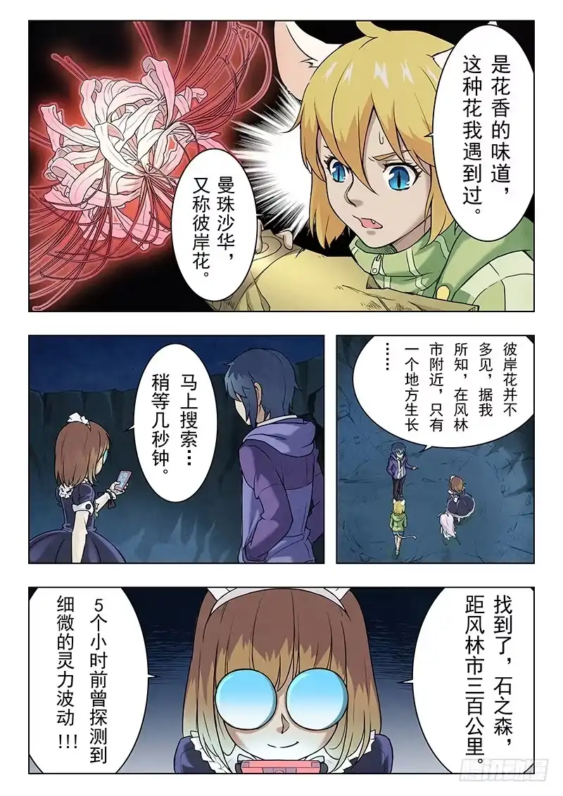 《最后的召唤师》第六章 石之森（3） 第2页