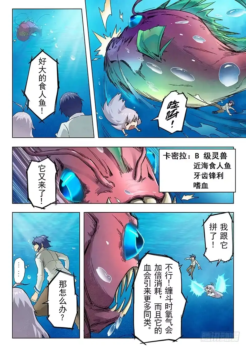 《最后的召唤师》第十章 荒野猎人（4） 第13页