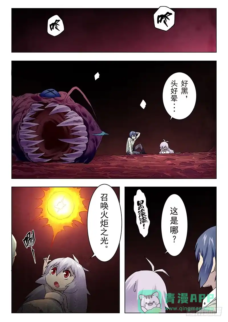 《最后的召唤师》第十章 荒野猎人（6） 第6页
