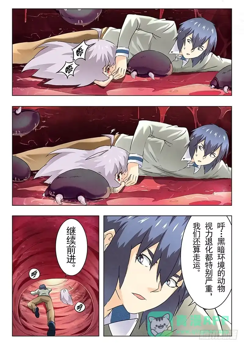 《最后的召唤师》第十章 荒野猎人（6） 第11页