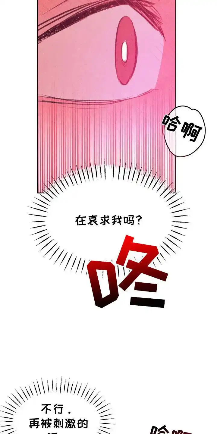《醉酒入怀》第5话 第4页