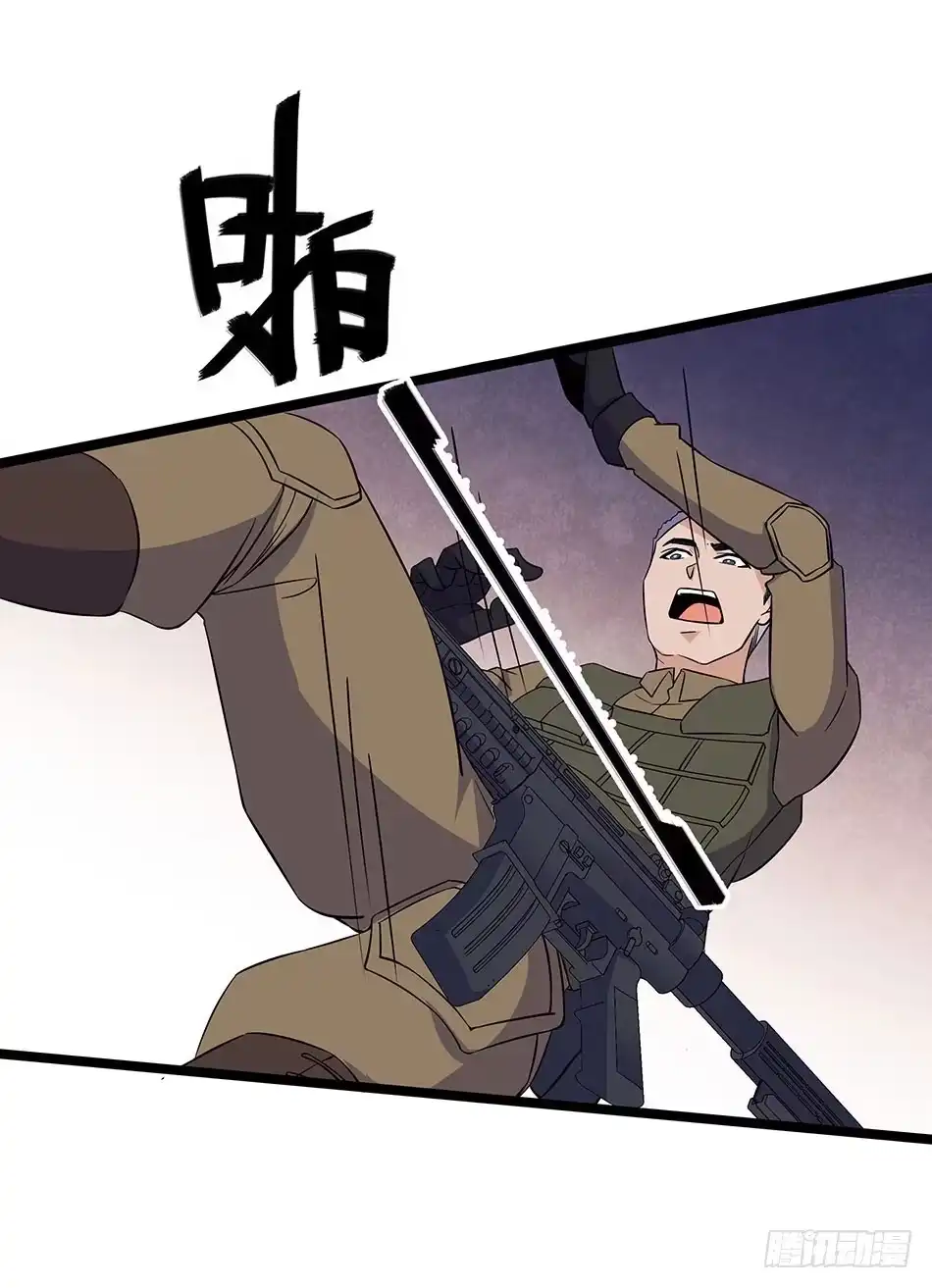 47.jpg
