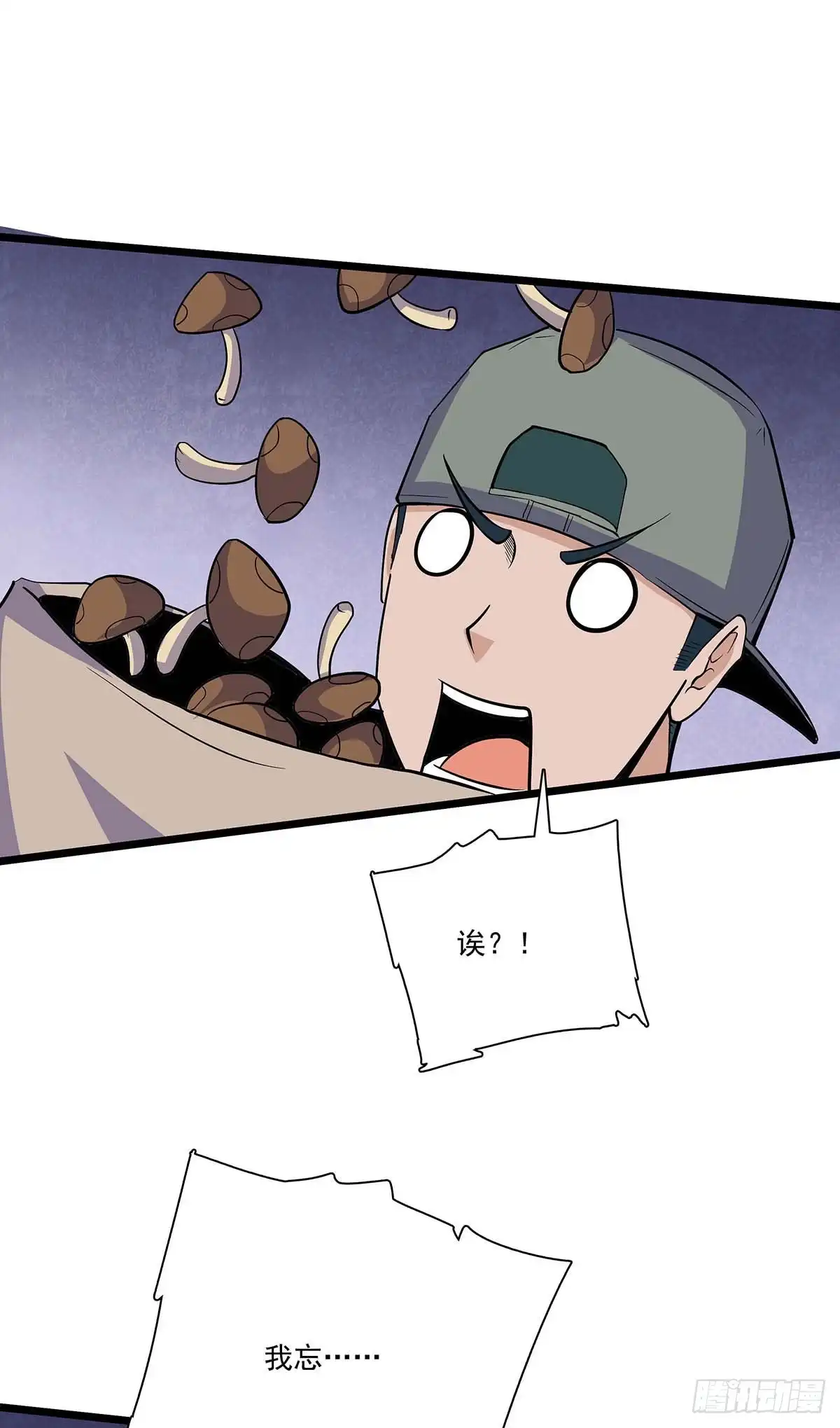 11.jpg
