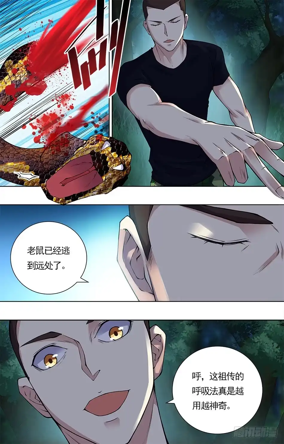 5.jpg