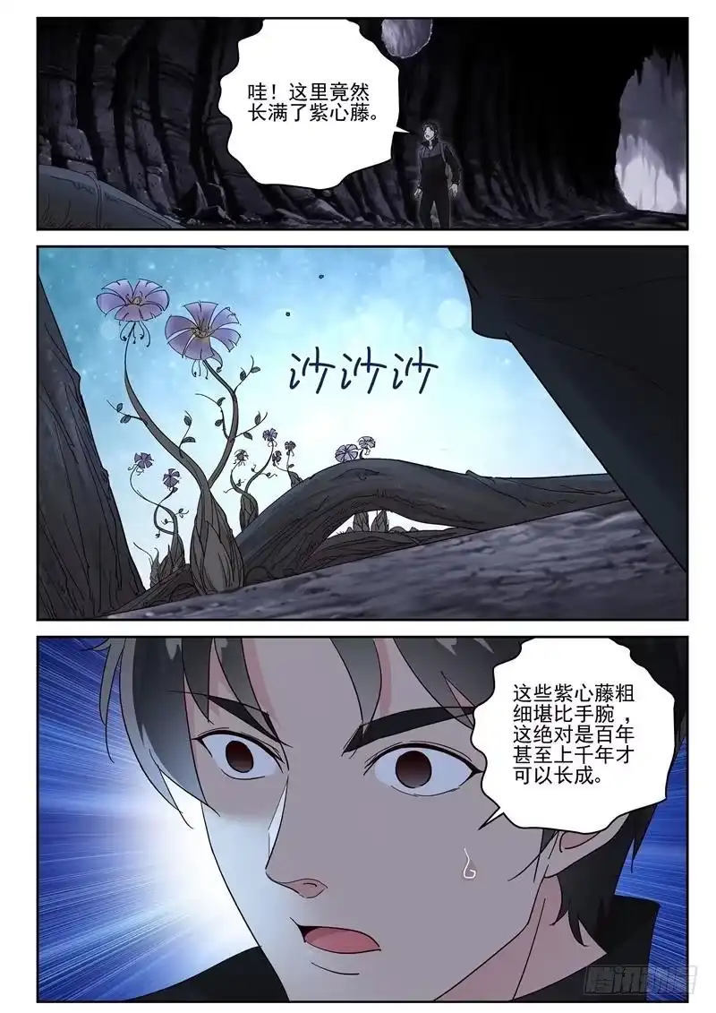 《最强弃少（旧版）》106 好多紫心藤！ 第2页