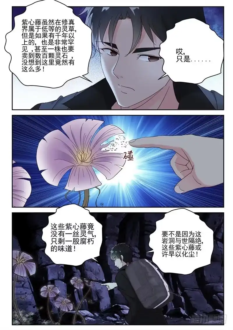 《最强弃少（旧版）》106 好多紫心藤！ 第3页