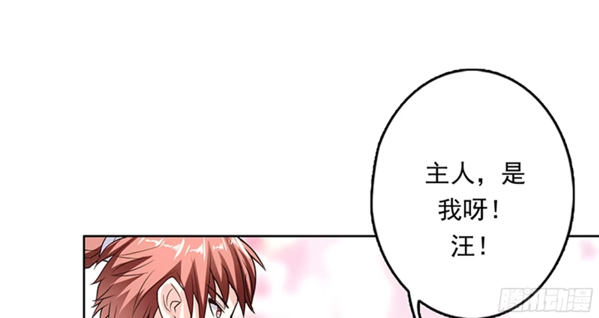 《最强神兽系统》第148话 我才不怕你 第28页